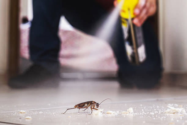 Pest Control Cost in Hastings, MI